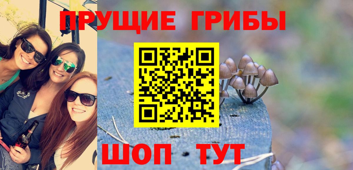 Новокуйбышевск  Псилоцибиновые грибы мухоморы  Вход с VPN 