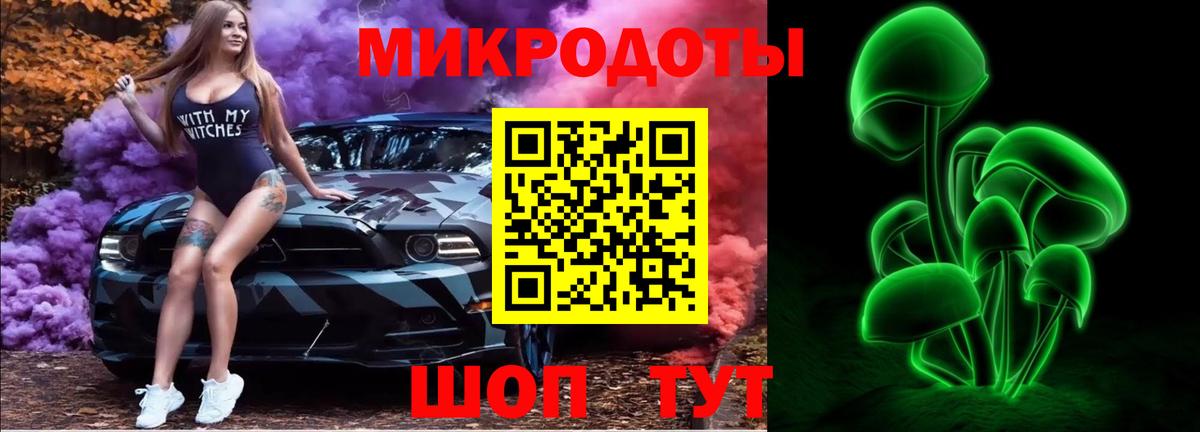 Галлюциногенные грибы Psilocybine cubensis Новокуйбышевск